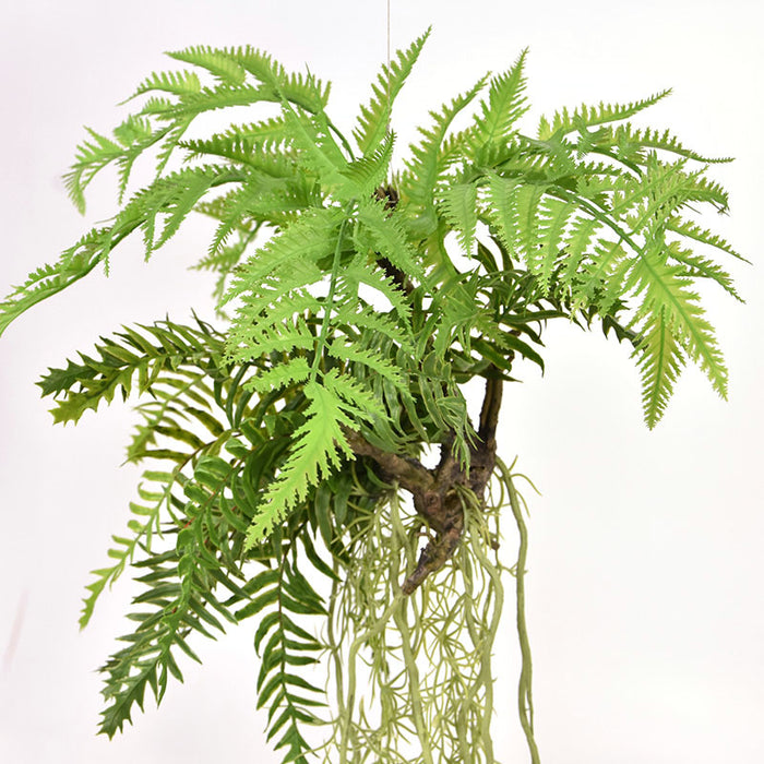 693a3ee1-fd3f-4de7-970b-a91ae49afb5b-sfeerbeeld.jpg (3557946)