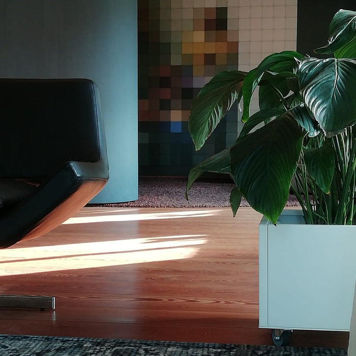 Grönfeld Plantenbak B 40 x D 40 cm