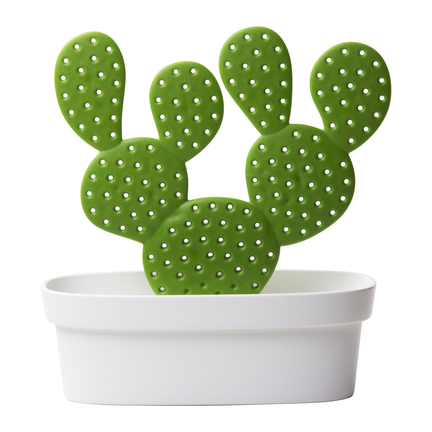 251843-x0.jpg (3591530)