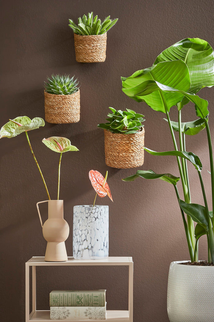 409c0b16-4682-48b1-83b9-9831514f9193-afbeelding7.jpg (3598739)