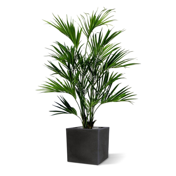 f12a835b-9728-4161-b504-8f0f930af183-afbeelding4.jpg (3609481)