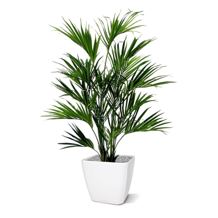 f12a835b-9728-4161-b504-8f0f930af183-afbeelding5.jpg (3609482)