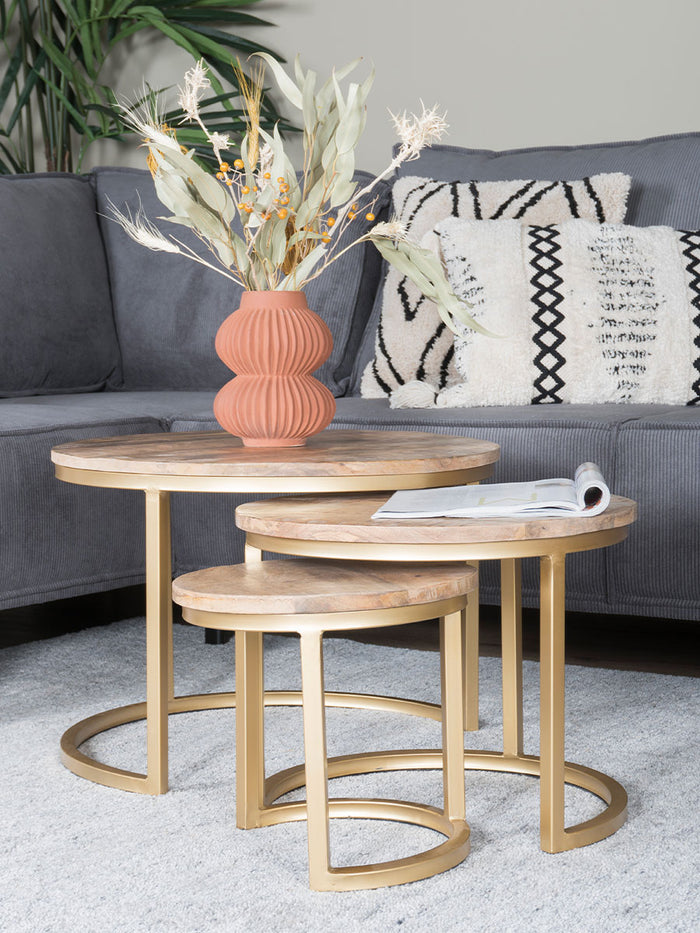 Home67 - Salontafel Set van 3 - Industriële Salontafelset Erjan - Goud