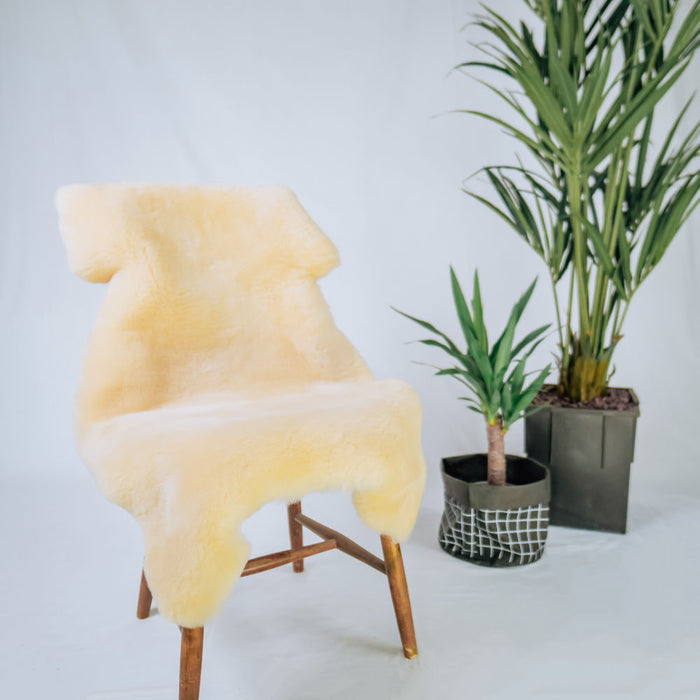 a90e0d13-82c5-4b4d-87b0-dd6410443d62-sfeerbeeld.jpg (3614271)