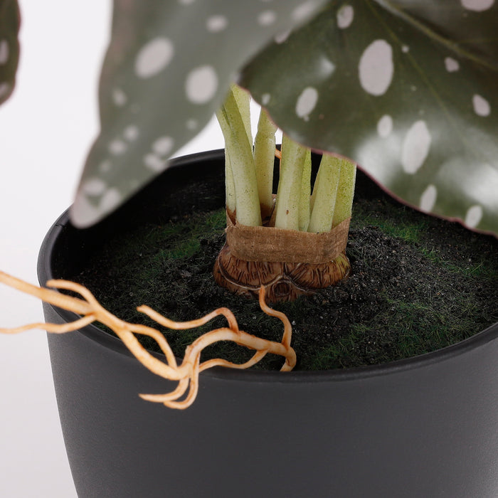 c5d843f0-4267-4770-b61e-4c5b1d88e1cb-afbeelding4.jpg (3646963)