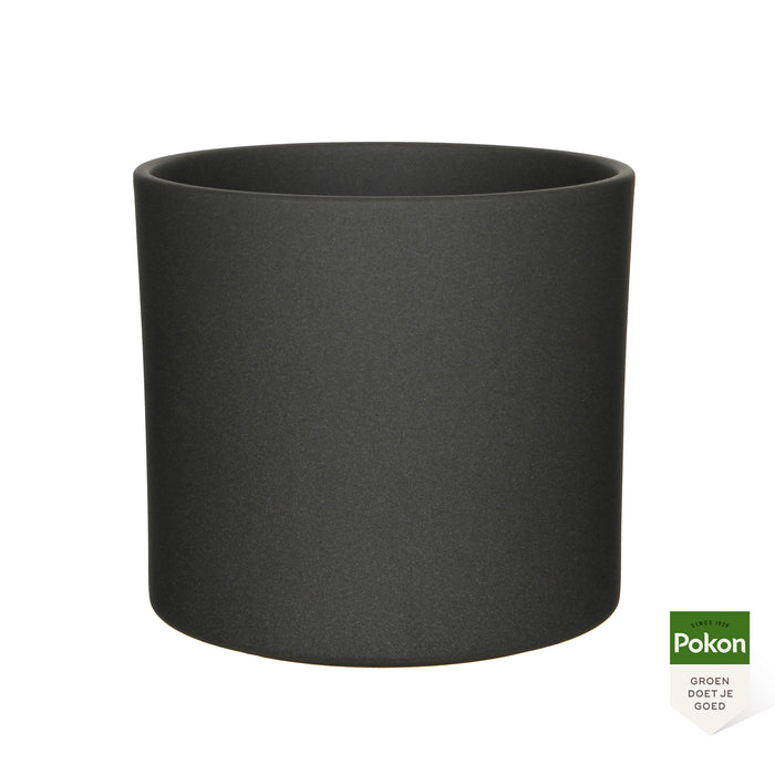 Pokon Bananenplant incl. watermeter en voeding in Pot Dkr Grijs ↕80cm