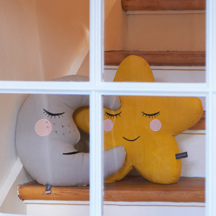 Roommate Ster Sierkussen