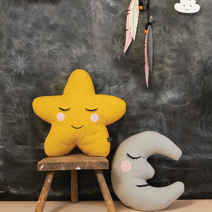 Roommate Ster Sierkussen