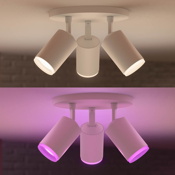 278876-x7.jpg (3680772)