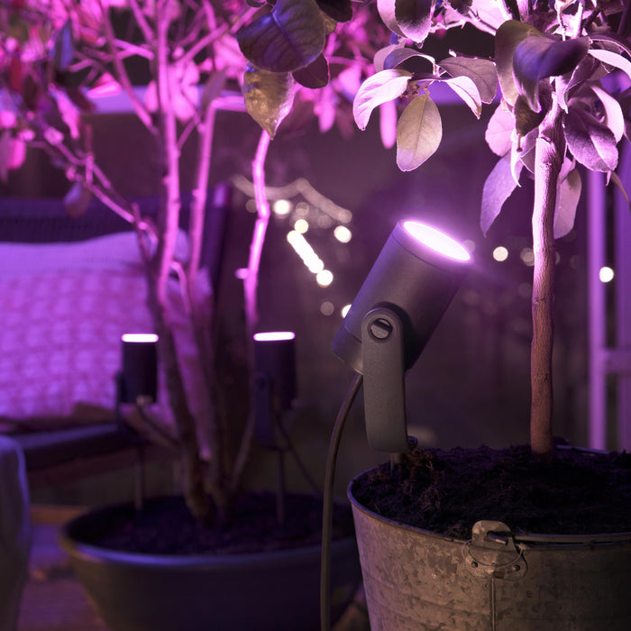 Philips Hue Lily Prikspot Starterspakket Incl. Bewegingssensor