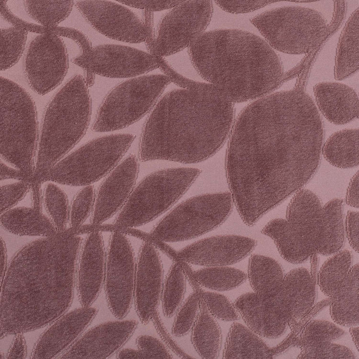 48de45cf-e0b0-4d73-a8c6-9abab599b0f4-afbeelding4.jpg (3703055)