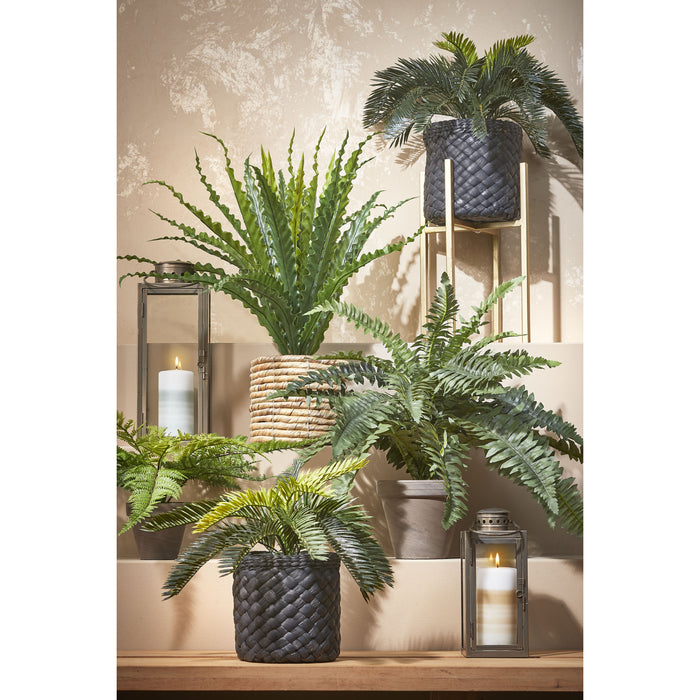 Mica Decorations Varen Kunstplant - H38 x Ø50 cm - Groen