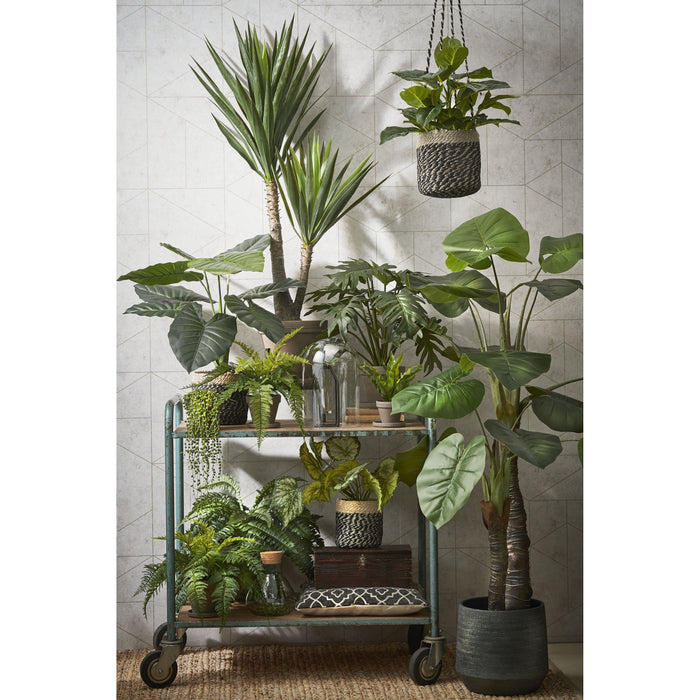 Mica Decorations Varen Kunstplant - H38 x Ø50 cm - Groen