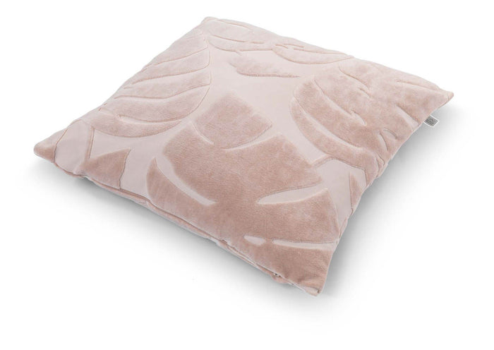 677a8107-82cc-48b7-bf46-cc9e6a8a9c62-afbeelding3.jpg (3719034)