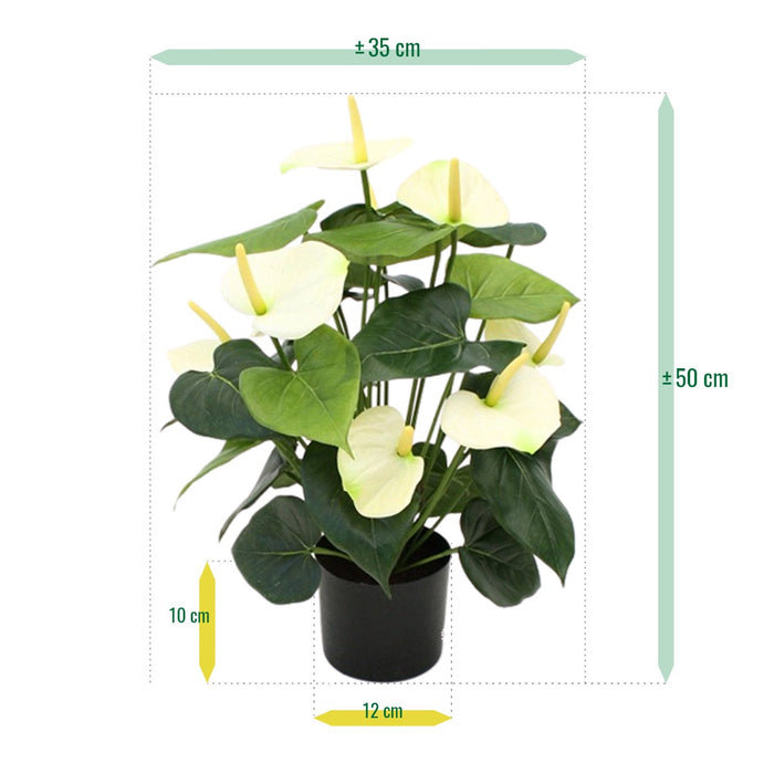 e3bdf930-0712-401b-be59-1b40b4b95677-afbeelding6.jpg (3744842)