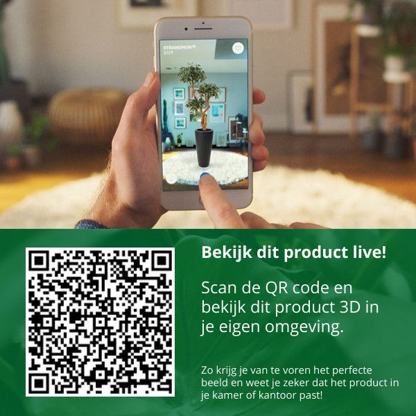 e3bdf930-0712-401b-be59-1b40b4b95677-afbeelding9.jpg (3744845)