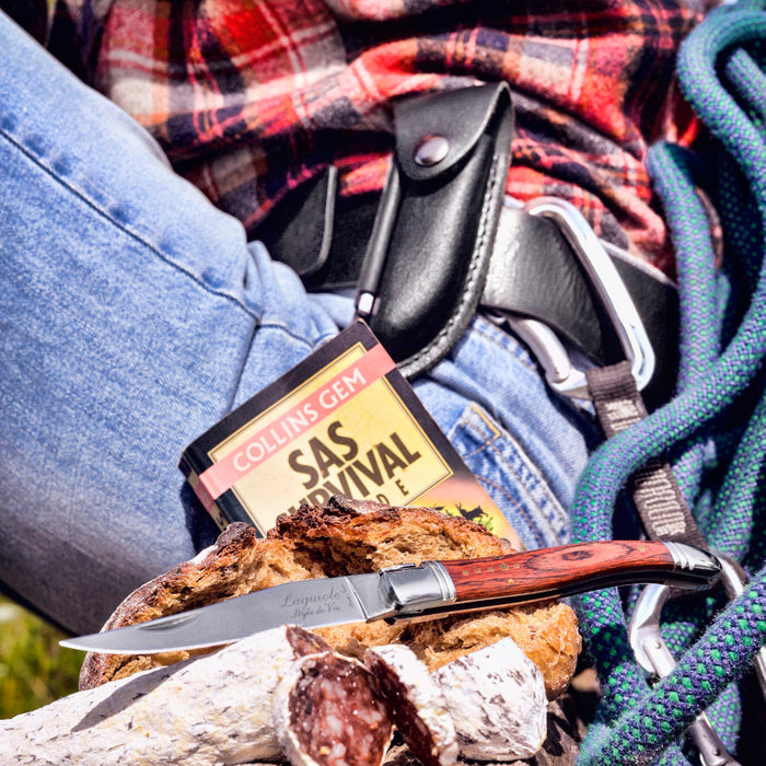 Laguiole Style de Vie Zakmes