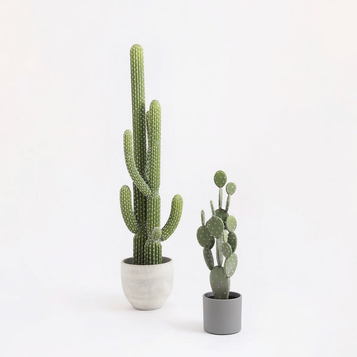 fae58724-6ea0-41e9-8a15-4ea3ba003297-afbeelding4.jpg (3790520)