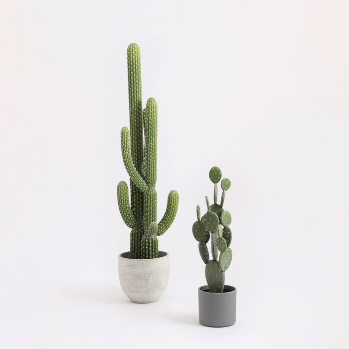 fae58724-6ea0-41e9-8a15-4ea3ba003297-afbeelding6.jpg (3790522)