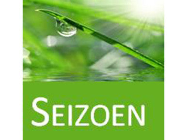 Polydaun bamboe zomerdekbed - Lits-jumeaux (240x220 cm)