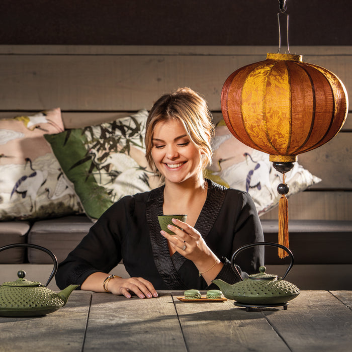 Bredemeijer Xilin Onderzetter