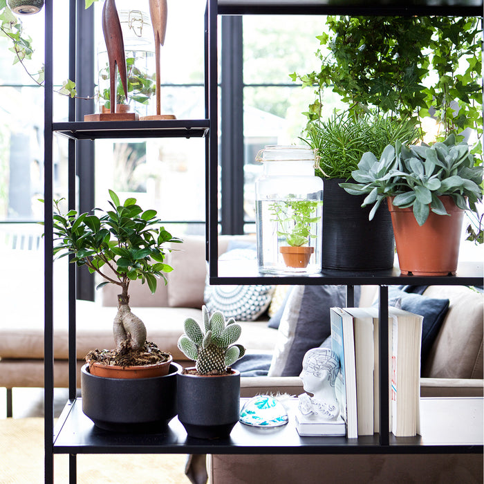 245956-x4.jpg (3889204)