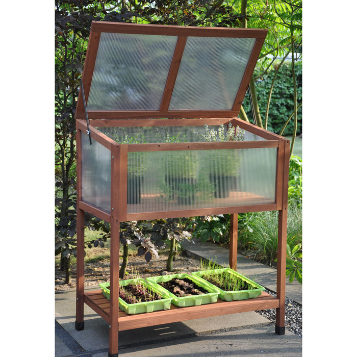 Royal Well Red Leaf Broeikas