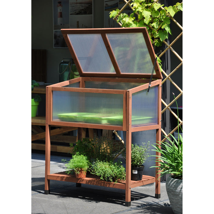 Royal Well Red Leaf Broeikas