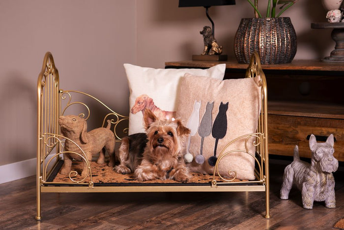 084a6f6d-144f-4b23-a7f8-7b8966950b14-afbeelding10.jpg (3893557)