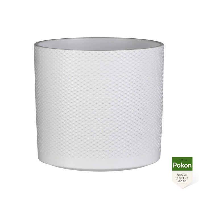 Pokon Strelitzia incl. watermeter en voeding in Pot Wit ↕75 cm