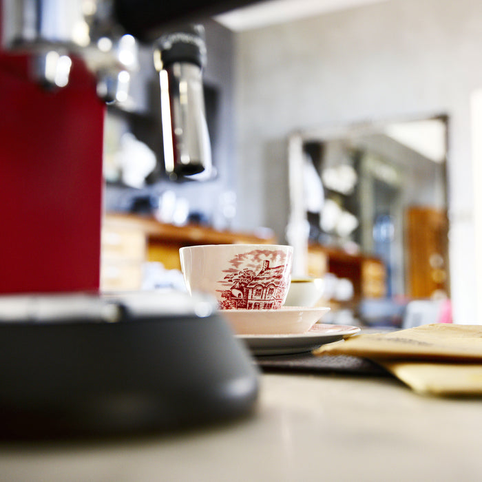 De'Longhi EC685.R Dedica Halfautomatische Espressomachine