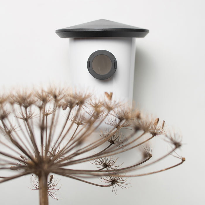 SingingFriend breedR Vogelhuis