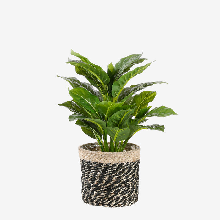 Mica Decorations Evergreen Kunstplant - H49 x Ø40 cm - Groen