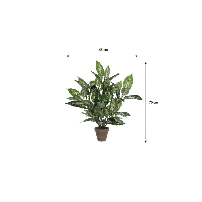 Mica Decorations Dieffenbachia Kunstplant - H70 x Ø55 cm - Groen