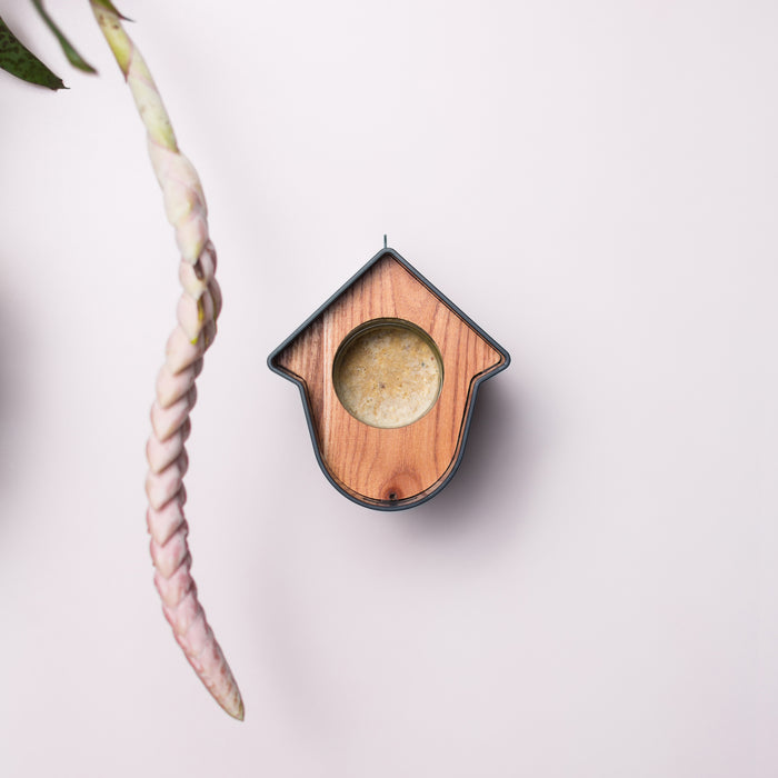 SingingFriend Evie Pindakaashuisje