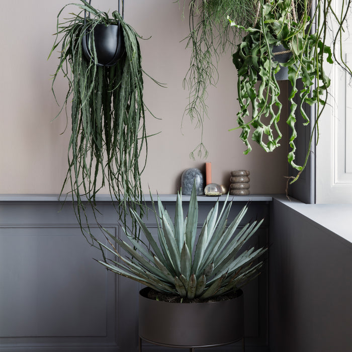 252976-x1.jpg (3943332)