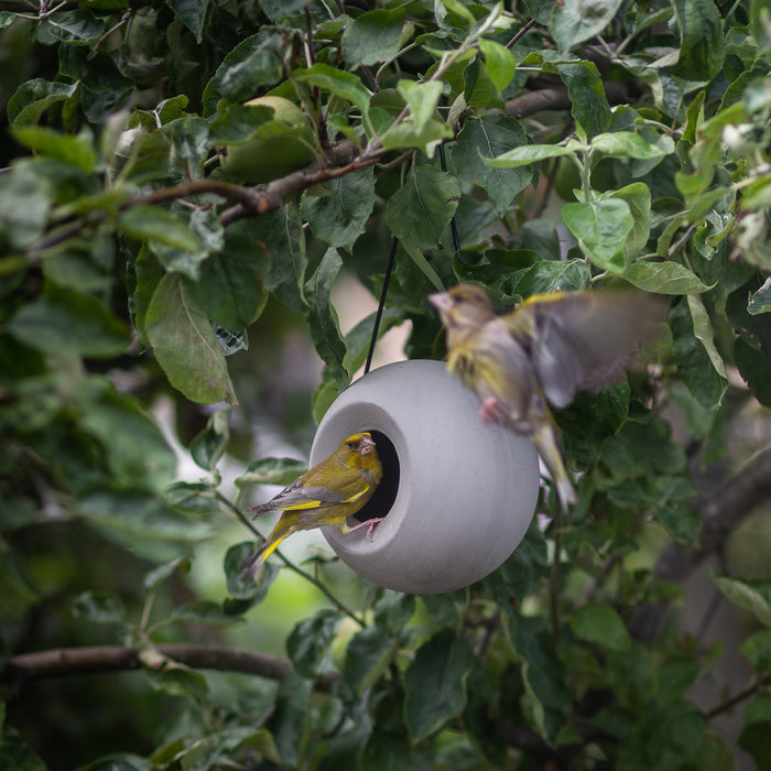 SingingFriend Lisa Vogelvoeder