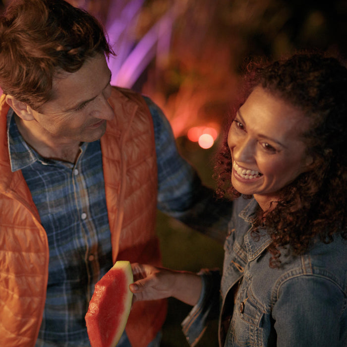 Philips Hue White & Color Ambiance Lily Spot 24V - excl. stroomadapter