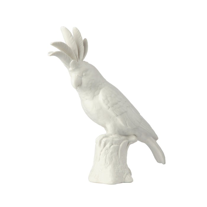 POLSPOTTEN Cockatoo Decoratie