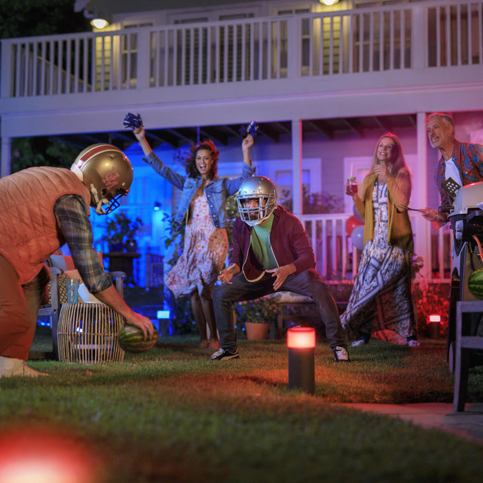 Philips Hue White & Color Ambiance Calla Sokkel 24V - excl. stroomadapter