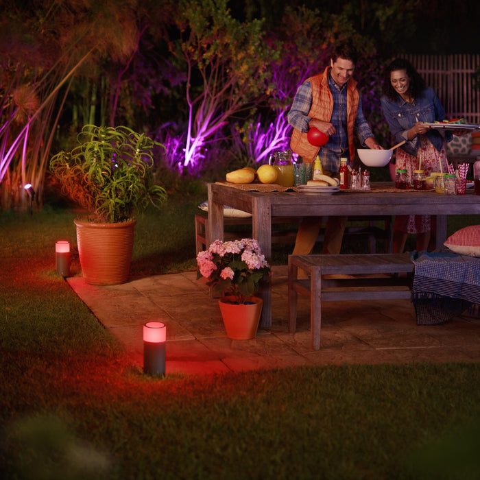 Philips Hue White & Color Ambiance Calla Sokkel 24V - excl. stroomadapter