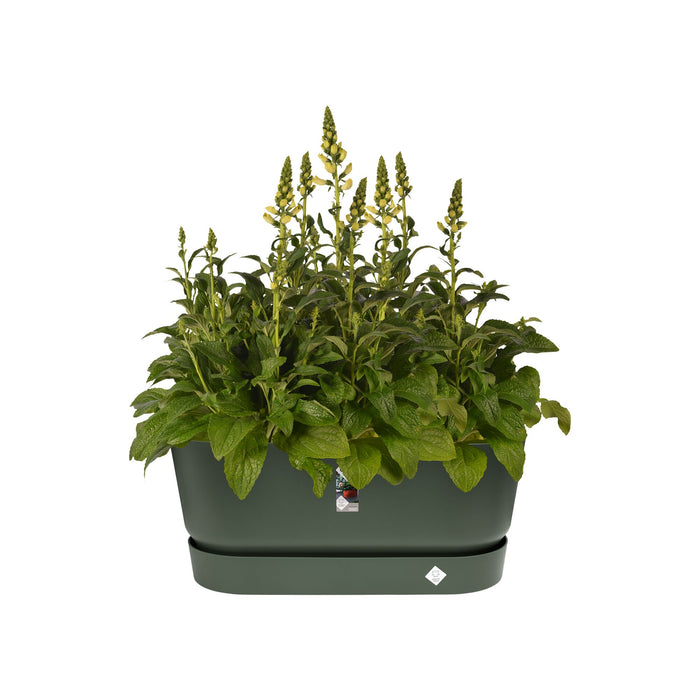 Elho Greenville Bloembak 80 cm Groen