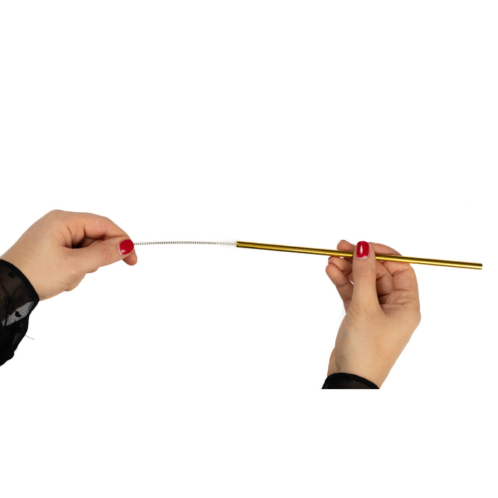 Sareva Herbruikbare rietjes - met borstel - Goud - 4 Stuks