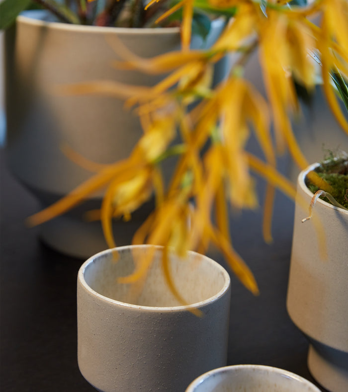 e0b14364-5088-43cb-8893-1c35d2b8c7a7-afbeelding4.jpg (3993919)