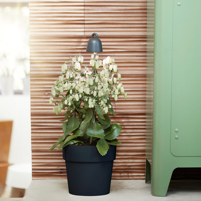 Elho Leaf Light Care Plantenlamp