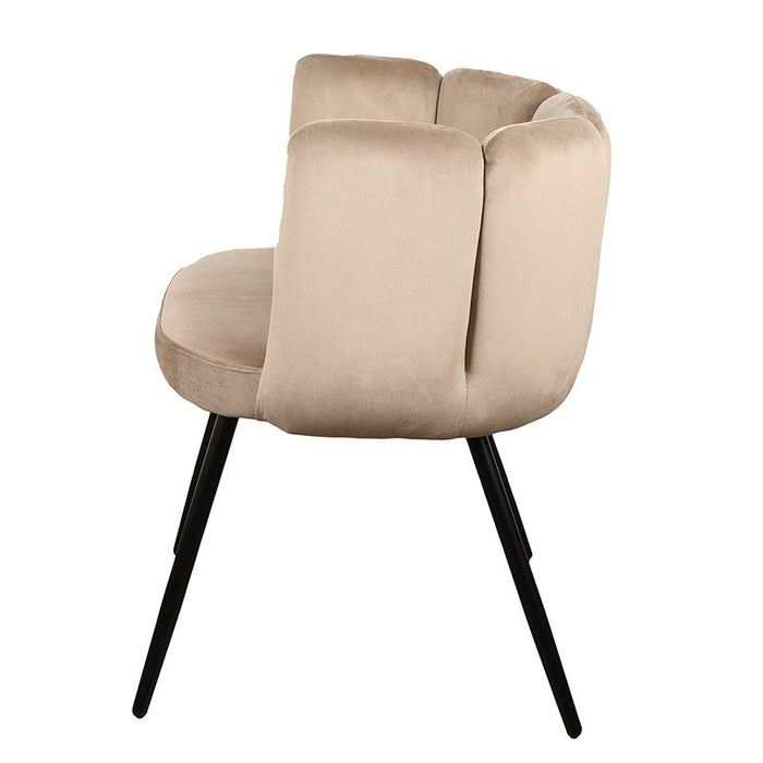 b58c94f7-c65d-4b18-9ecf-eddb1a05fb45-afbeelding7.jpg (4007858)