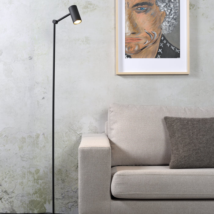 286013-x1.jpg (4017621)