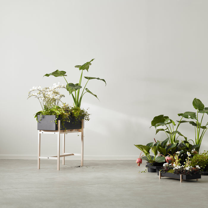 Design House Stockholm Botanic Plantenbox