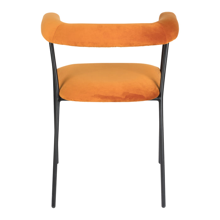 277144-x5.jpg (4044174)