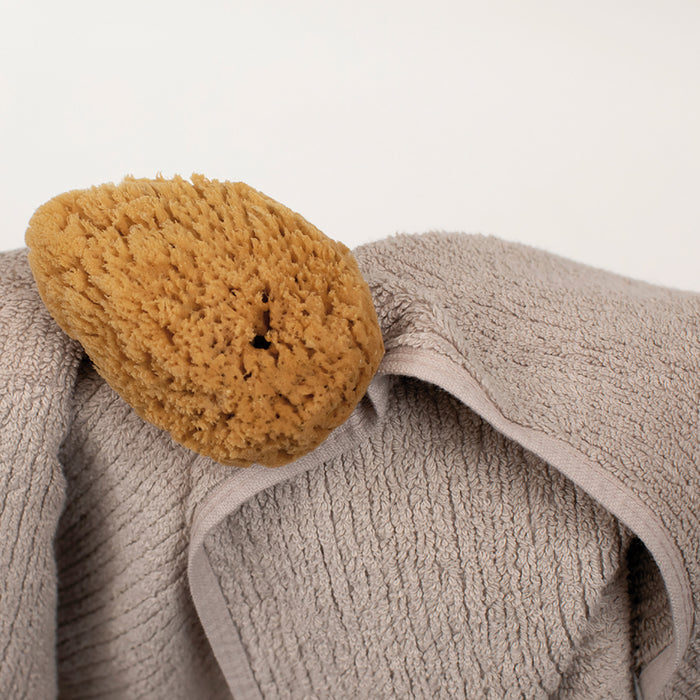 290286-x02.jpg (4063291)